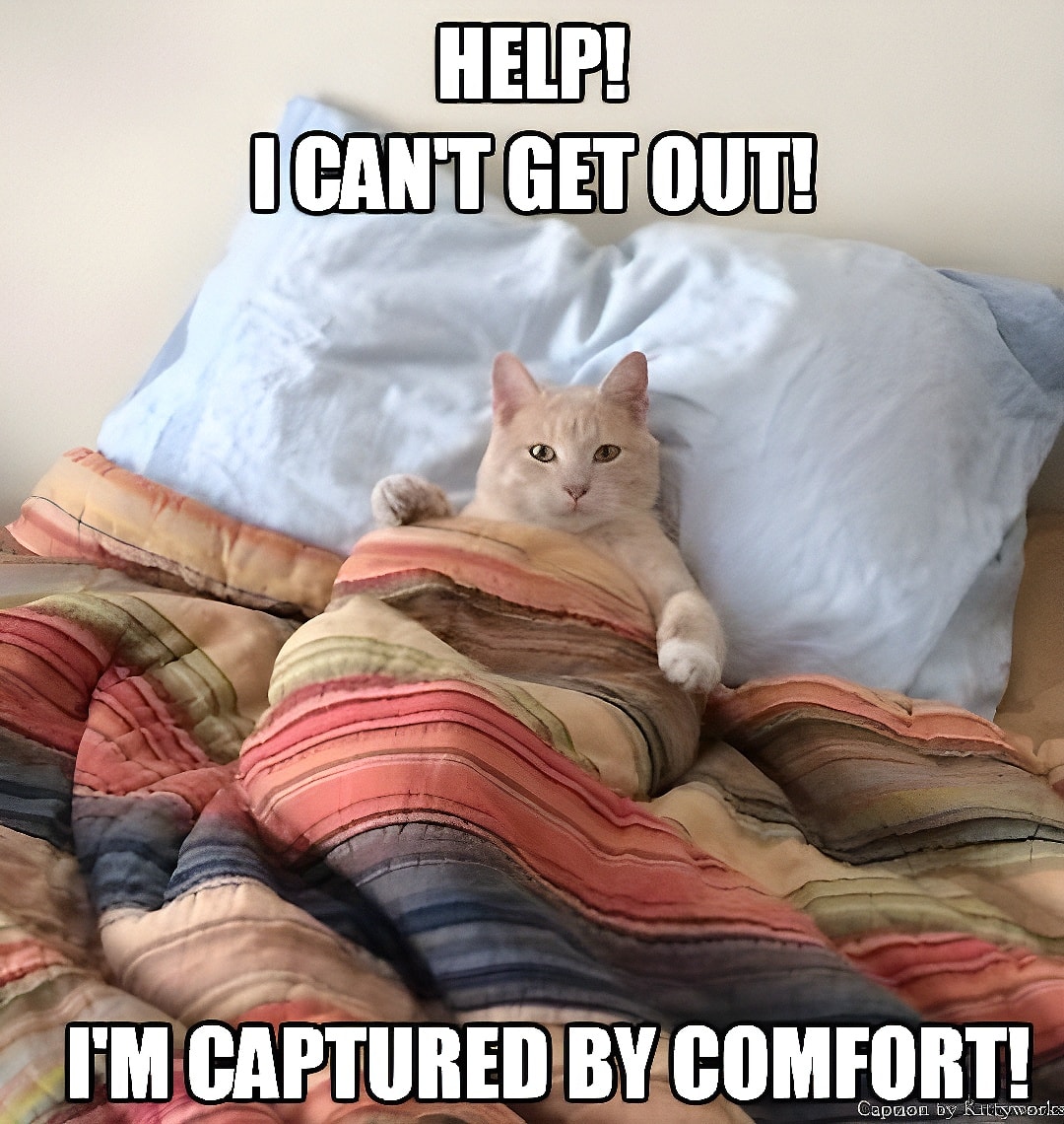 Captured by comfort