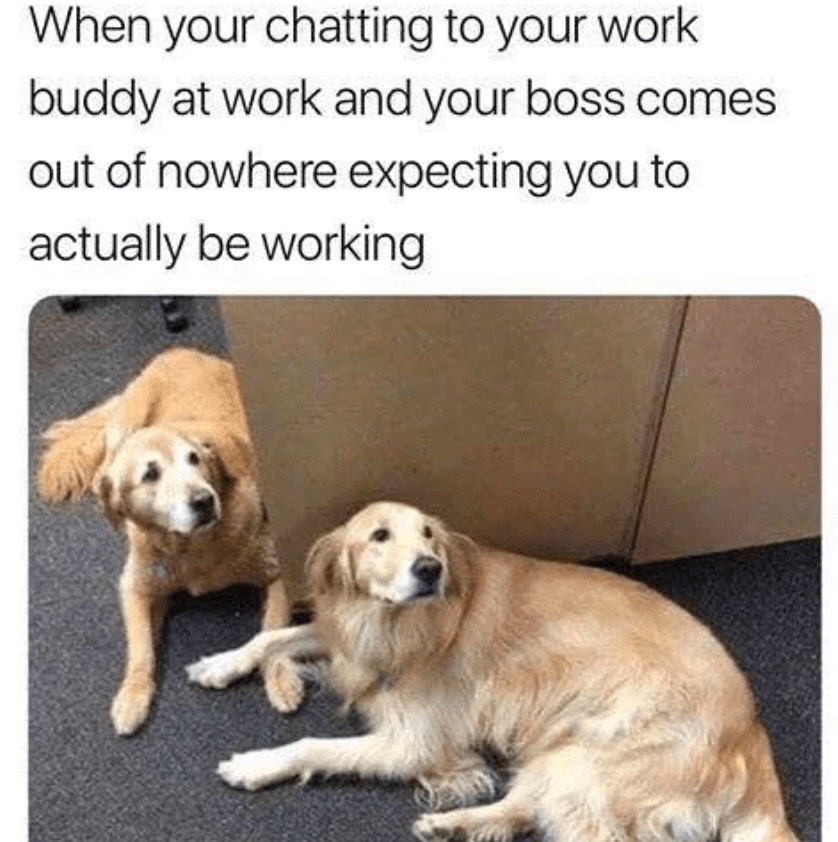 Chatting at work