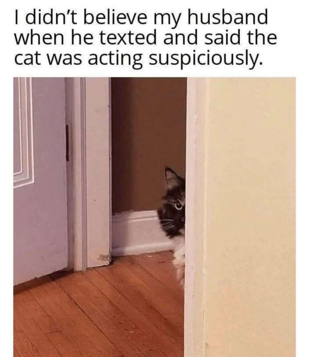 Didnt believe myhusband