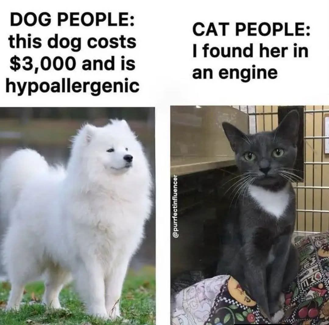 Dog people vs cat people