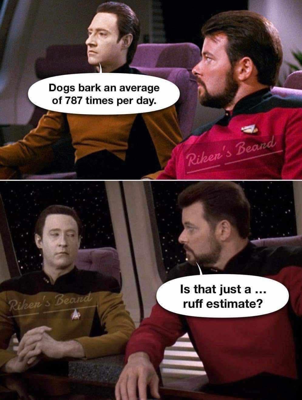 Dogs bark an average