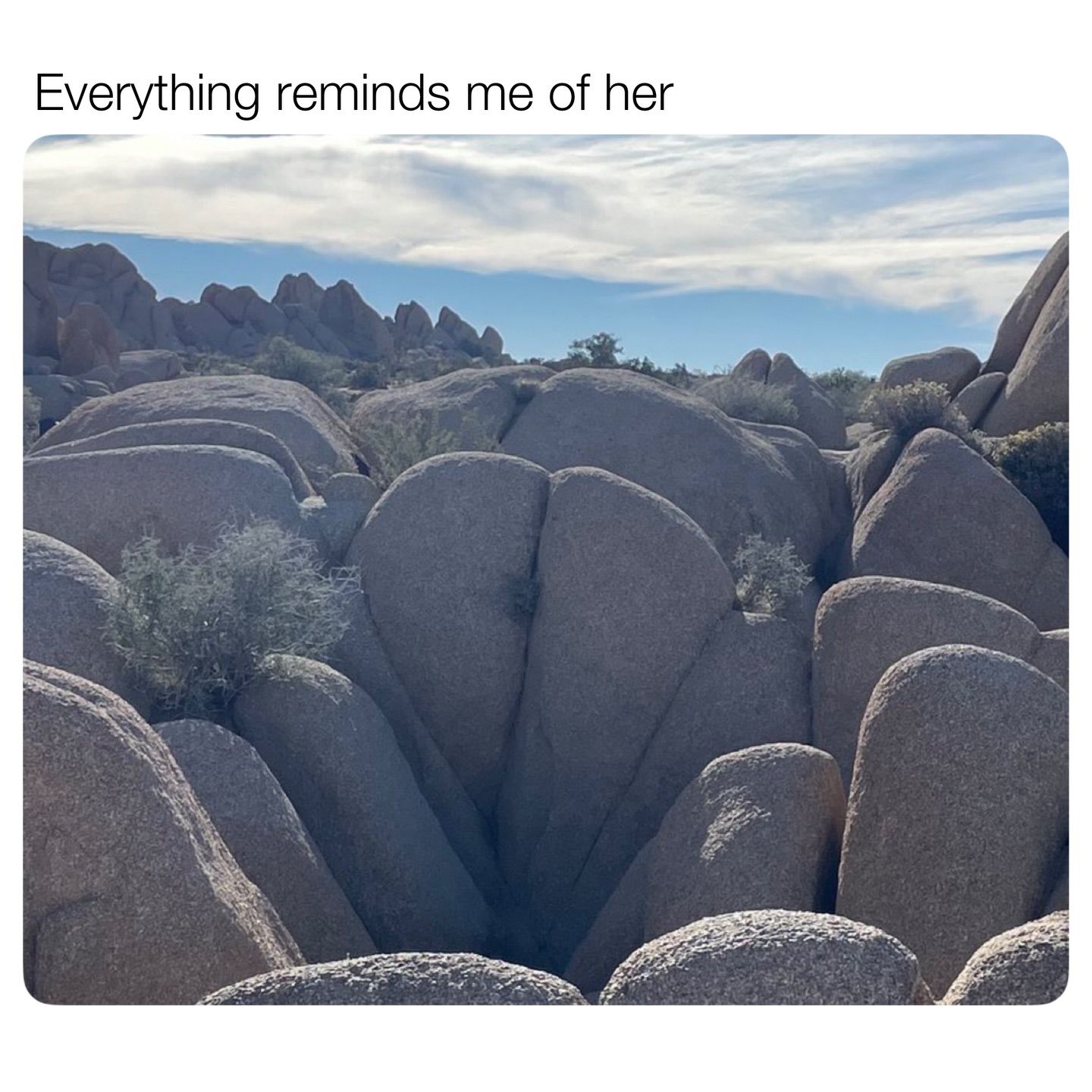 Everything reminds me of her