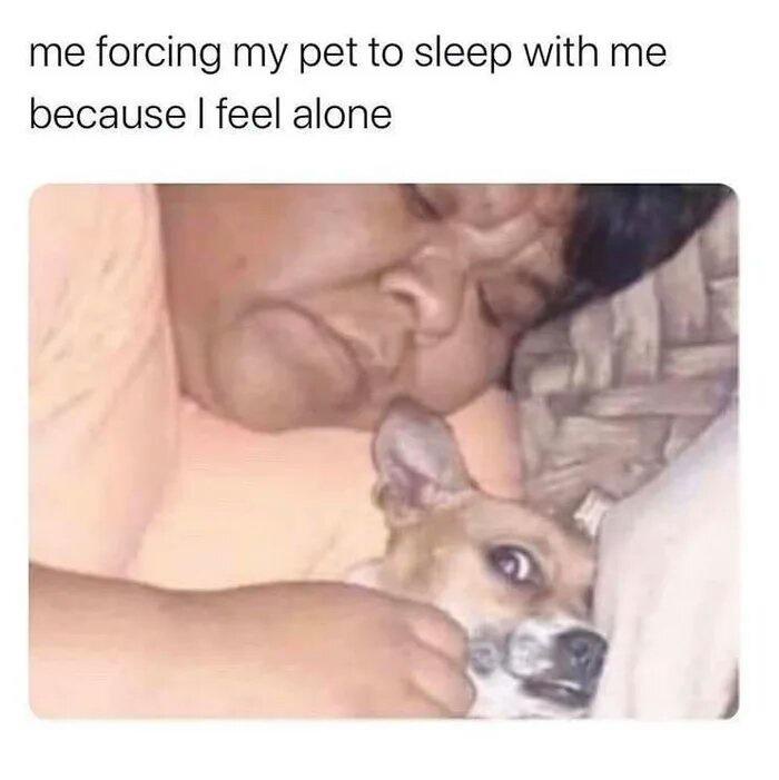20 Memes Dumped Here With Zero Explanation 7 Forcing my pet
