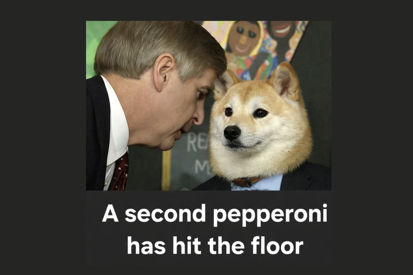 20 Funny Pet Memes That Start Cute and End in Absolute Chaos - Animals