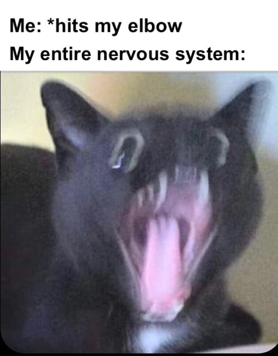 20 Memes Dumped Here With Zero Explanation 9 Hits my elbow