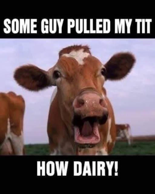 How dairy