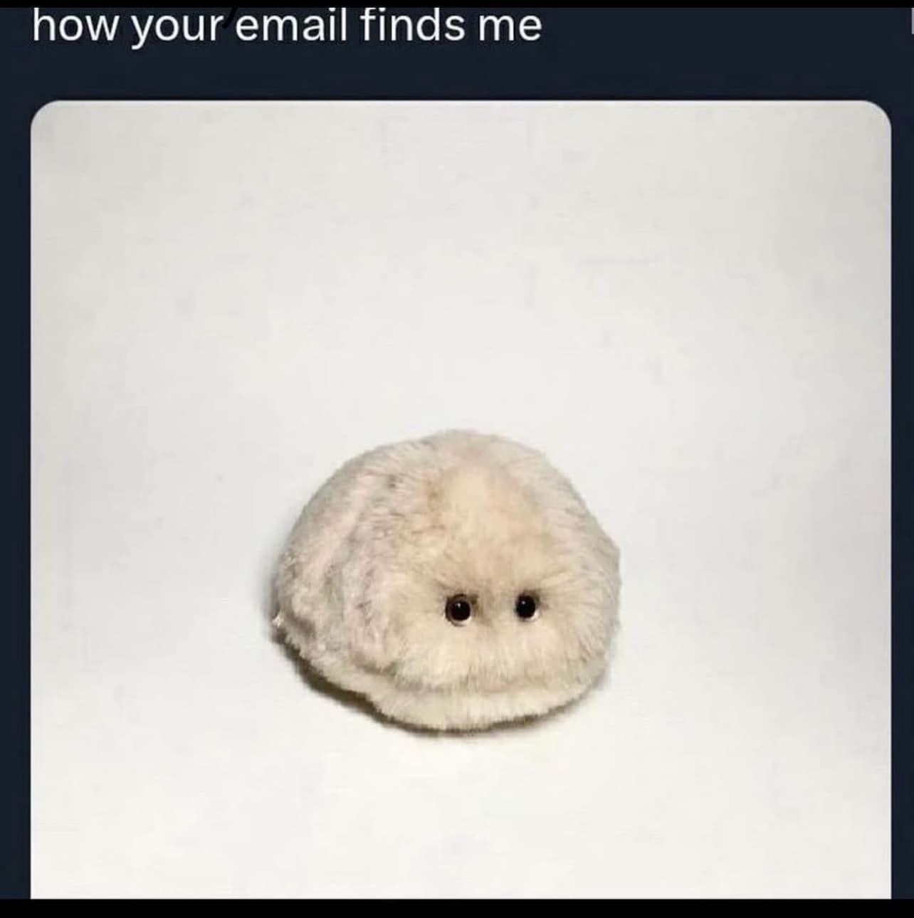 How your email finds me