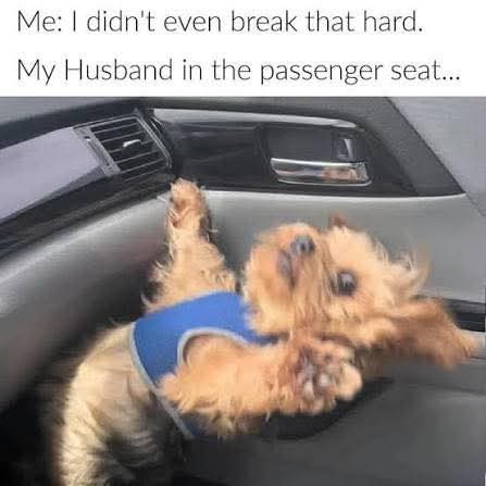 Husband in passenger seat