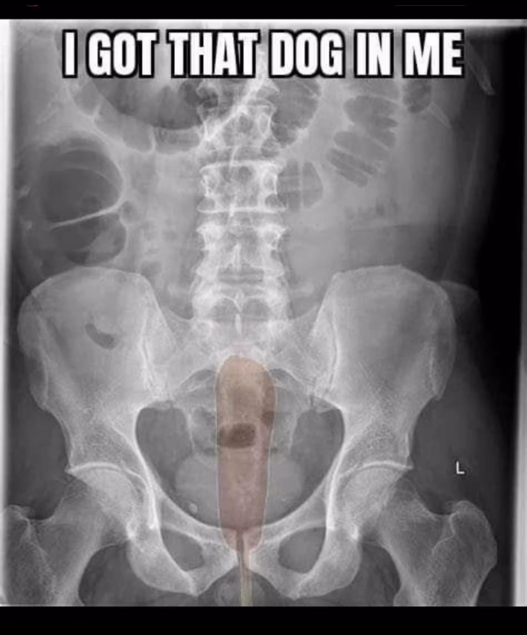 I got that dog in me