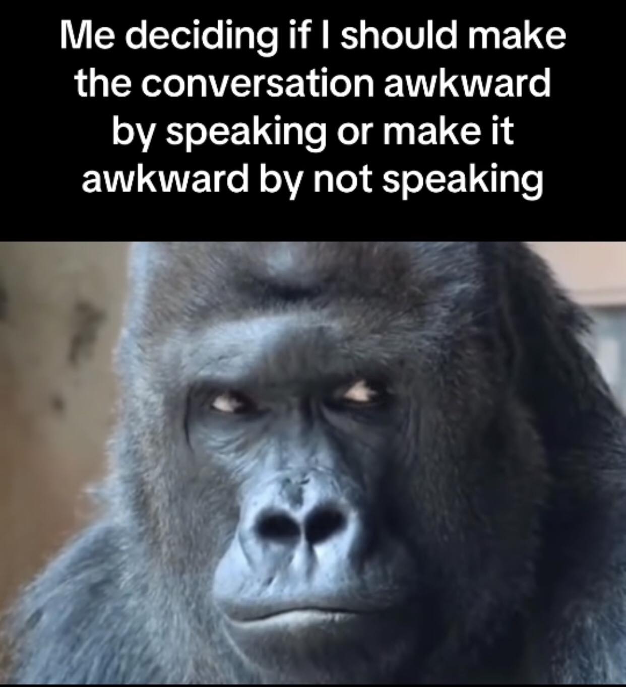 I should make a conversation