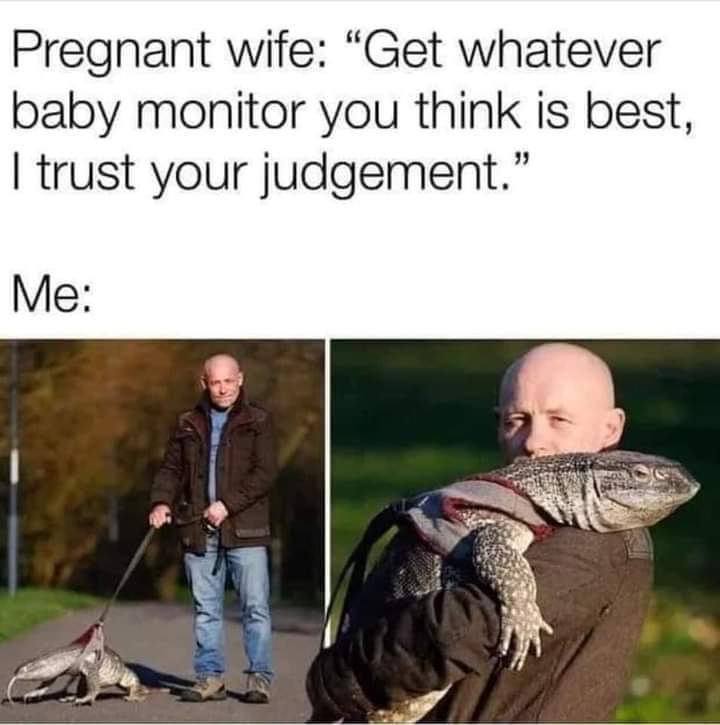 20 Memes With No Theme, Just Audacity 8 I trust your judgement