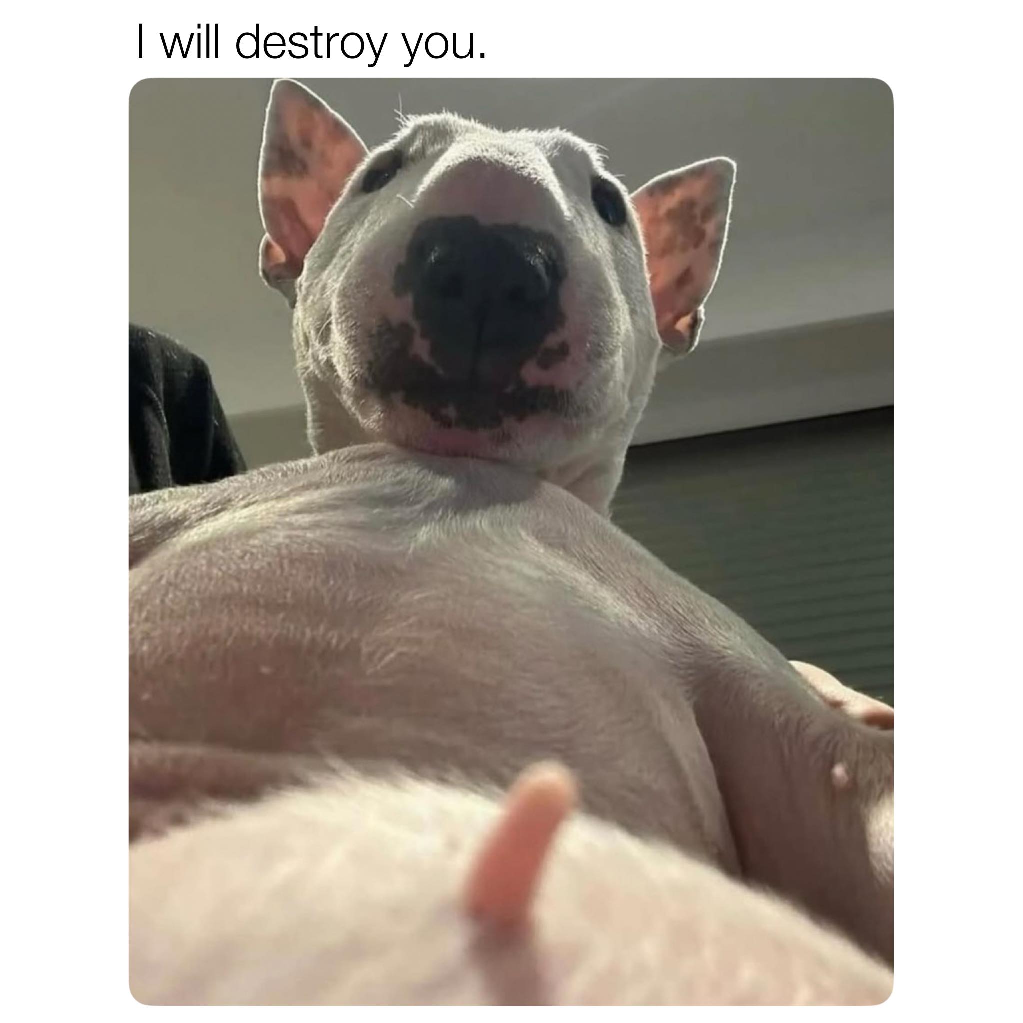 I will destroy you