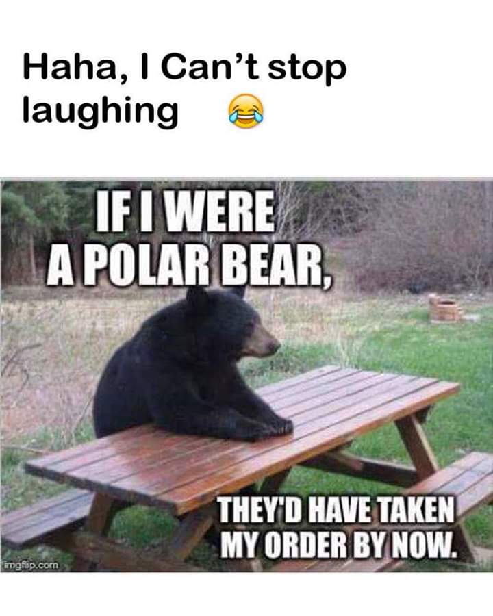 30 Twisted Memes for Fans of Dark Humor 29 If i were polar bear