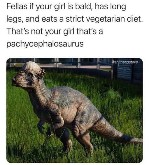 30 Funny and Unhinged Memes That Go Off the Rails 29 If your girl is bald