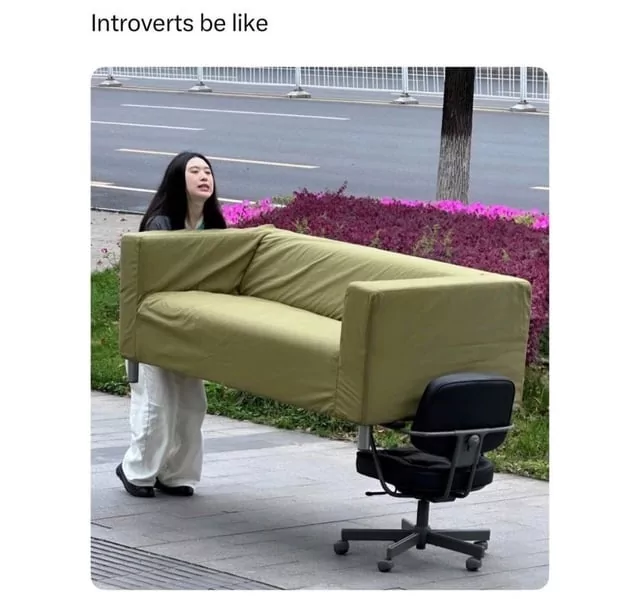 Top 40 Introvert Memes That Every Introverted Soul Will Relate To 39 Introverts be like
