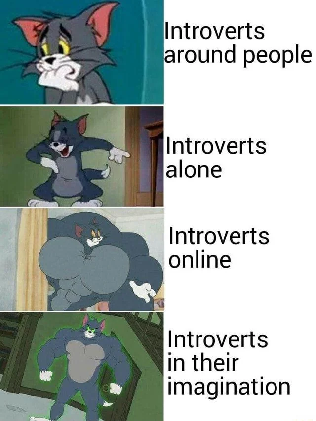 35 Memes for Introverts Celebrating Solitude 35 Introverts online