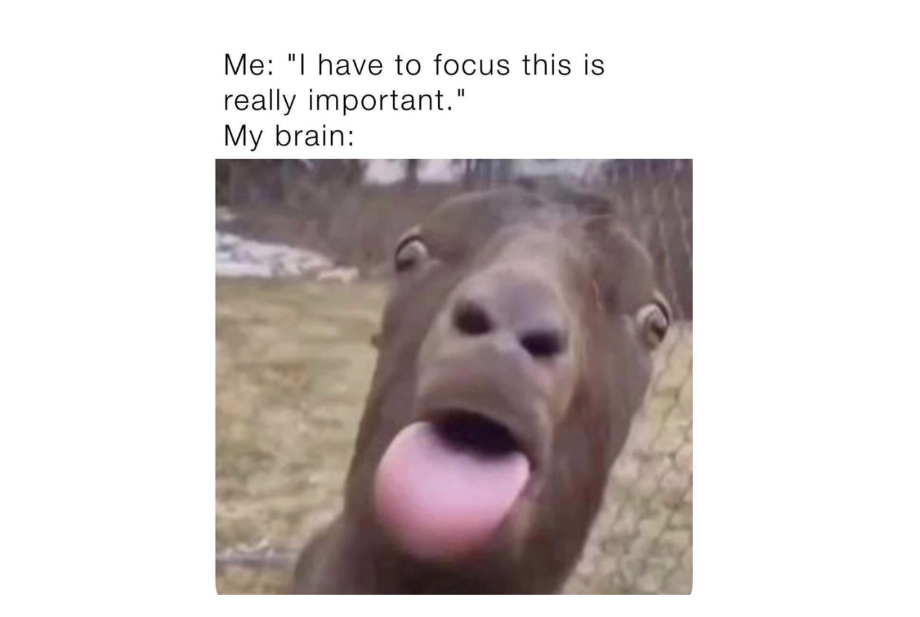 Memes That Don’t Exist Until You Look at Them - FG