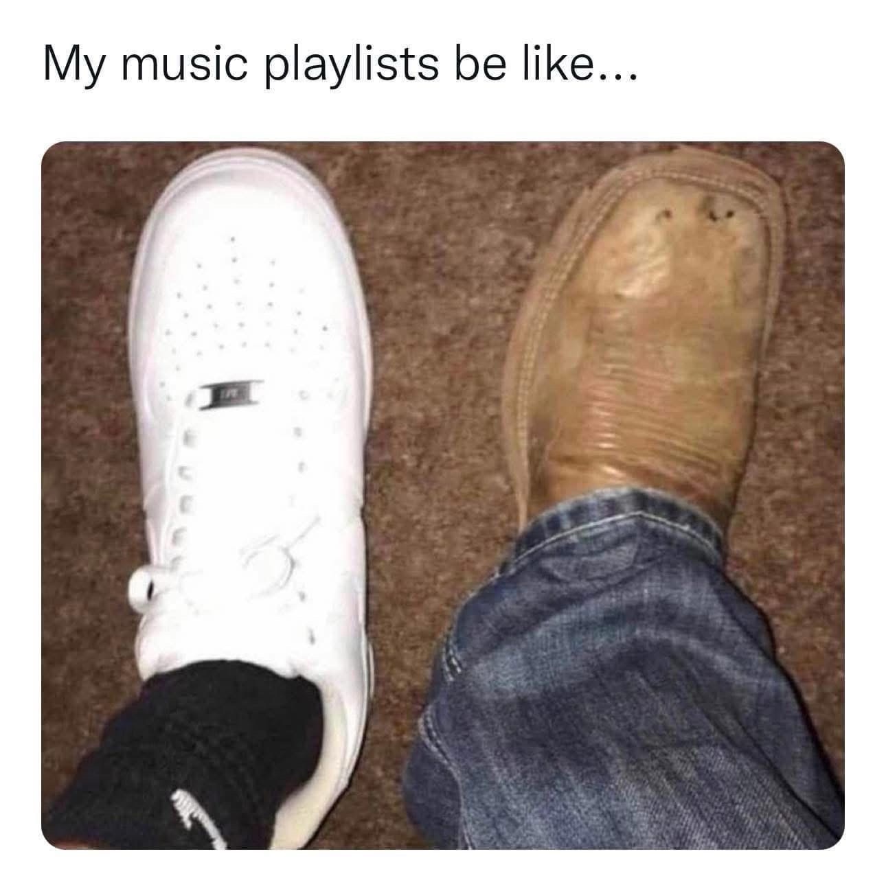 20 Memes That Exist Because Why Not 14 My music playlist