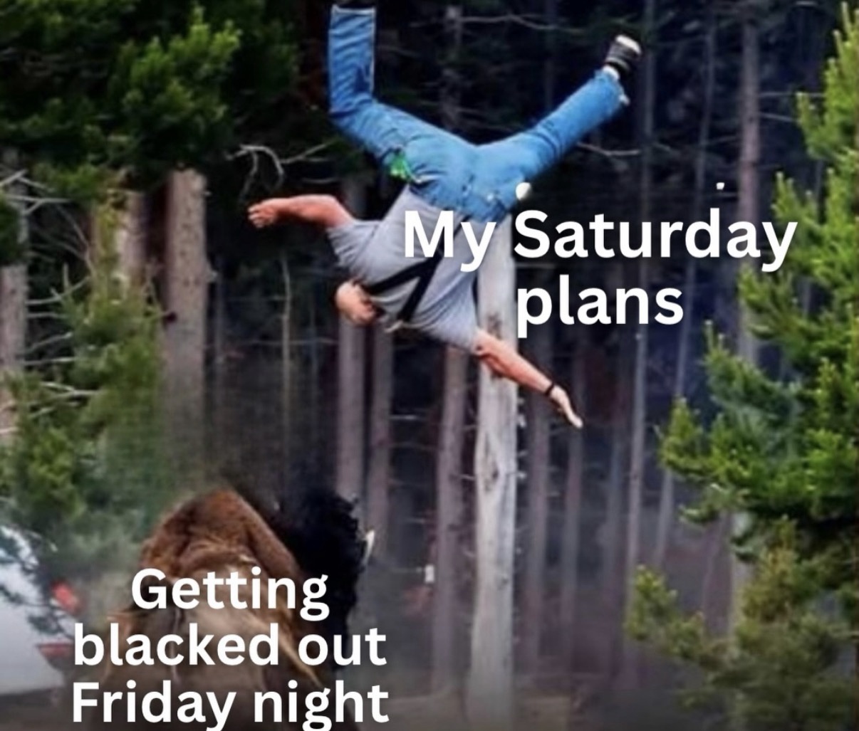 30 Memes That Went Full Nonsense and Never Looked Back 29 My saturday plans