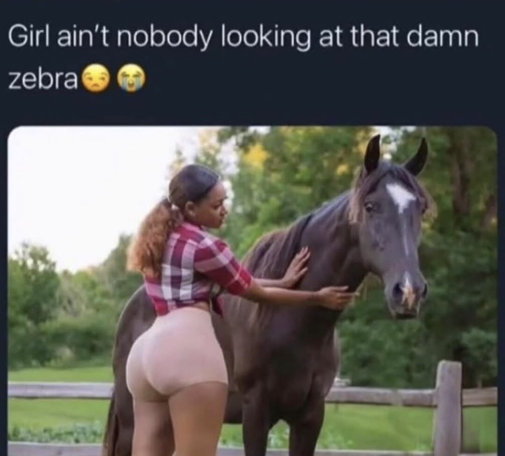 Nobody lookin at zebra