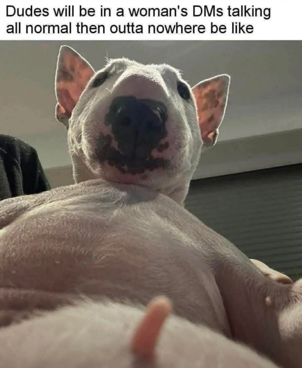 Outta nowhere be like