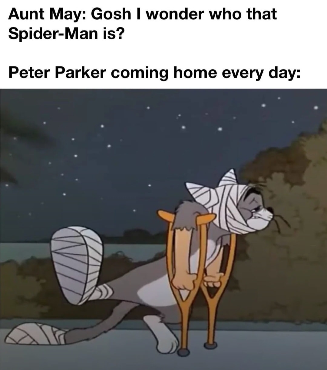 20 Memes Relatable in Ways That Raise Questions 16 Peter parker coming home