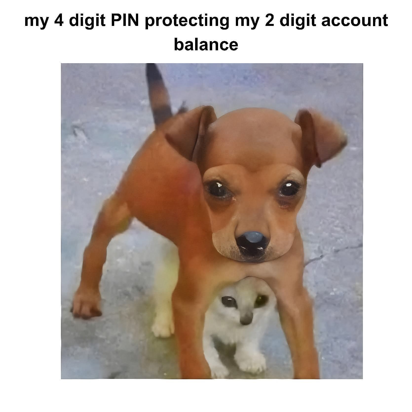 Pin protecting account