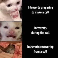 35 Memes for Introverts Celebrating Solitude 36 Recovering from call