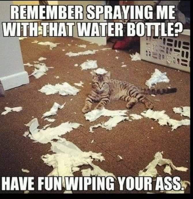 20 Memes With No Theme, Just Audacity 15 Remember spraying