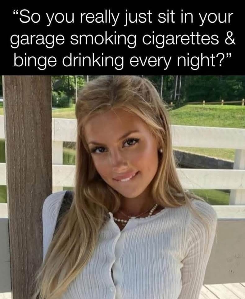 20 Memes That Are Pure Nonsense With a Side of Filth 18 Sit in your garage