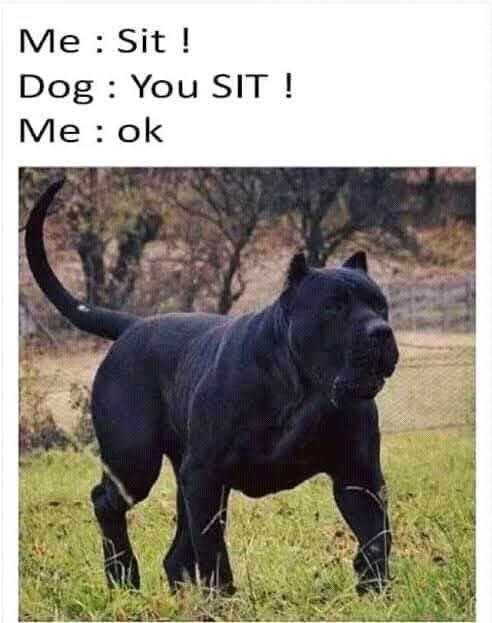 Sit