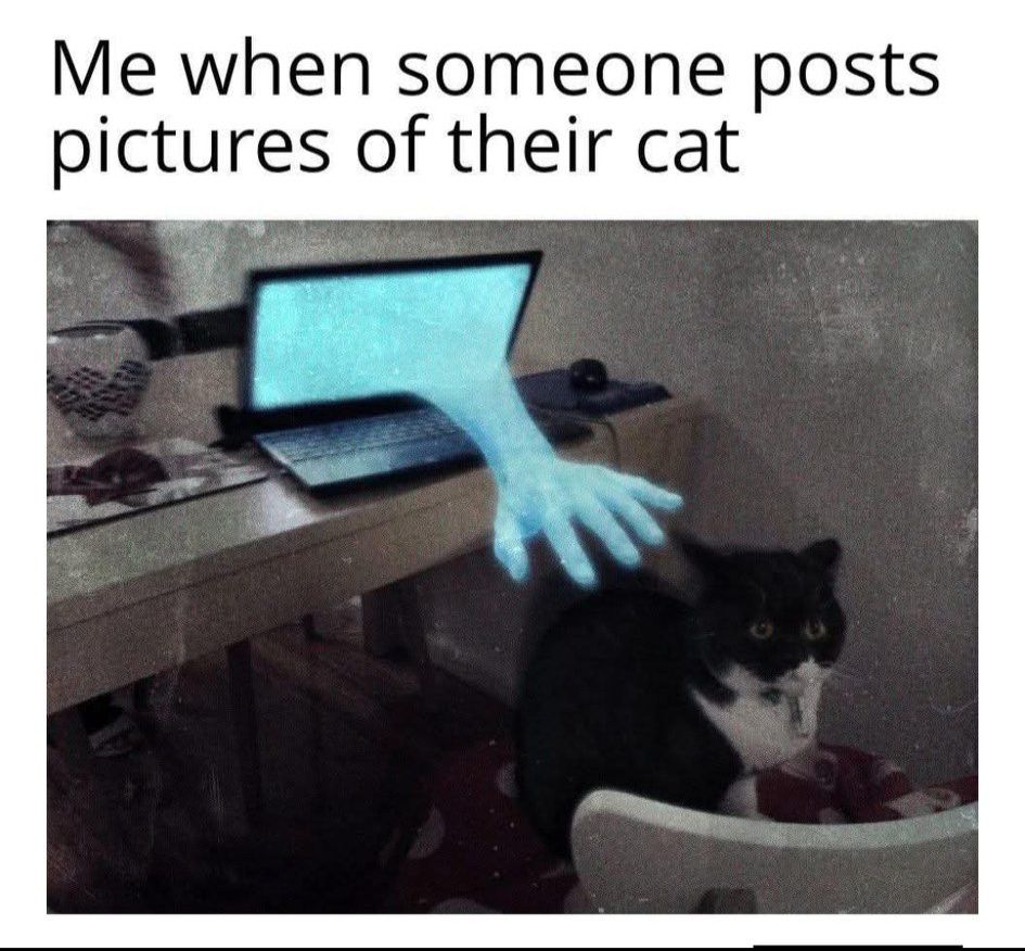 Someone posts a picture