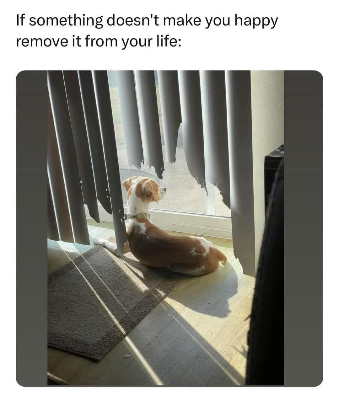 Something doesnt make you happy