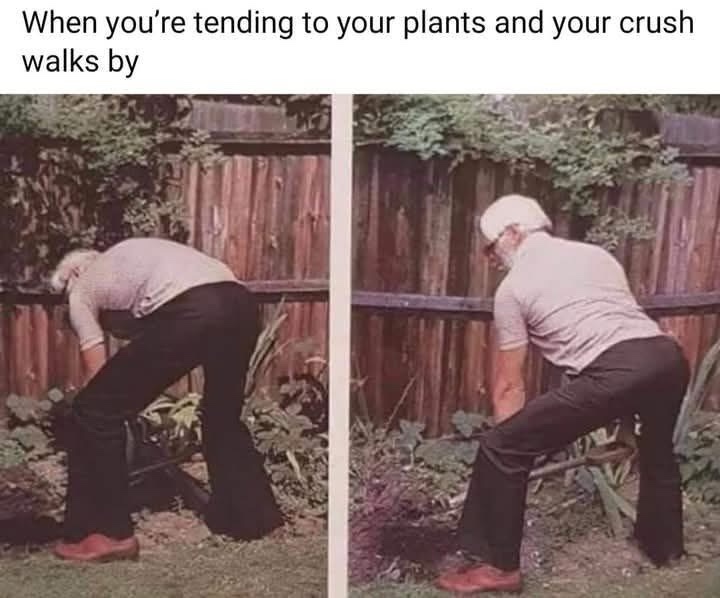 Tending your plants