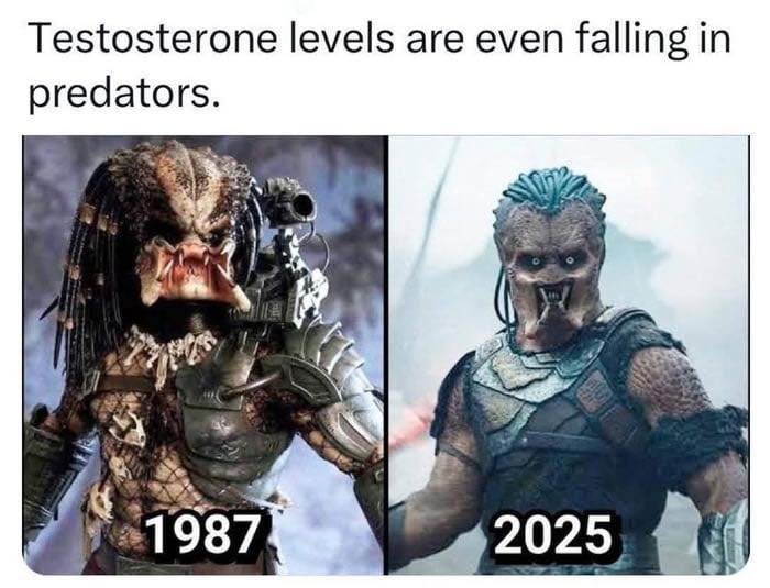 Testosterone levels are falling in predators