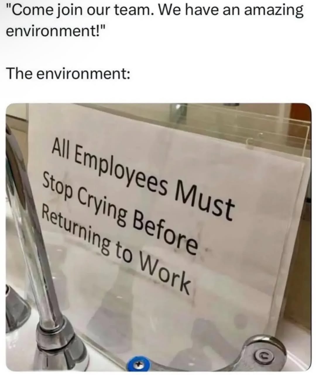 The environment