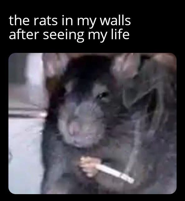 The rats in my wall