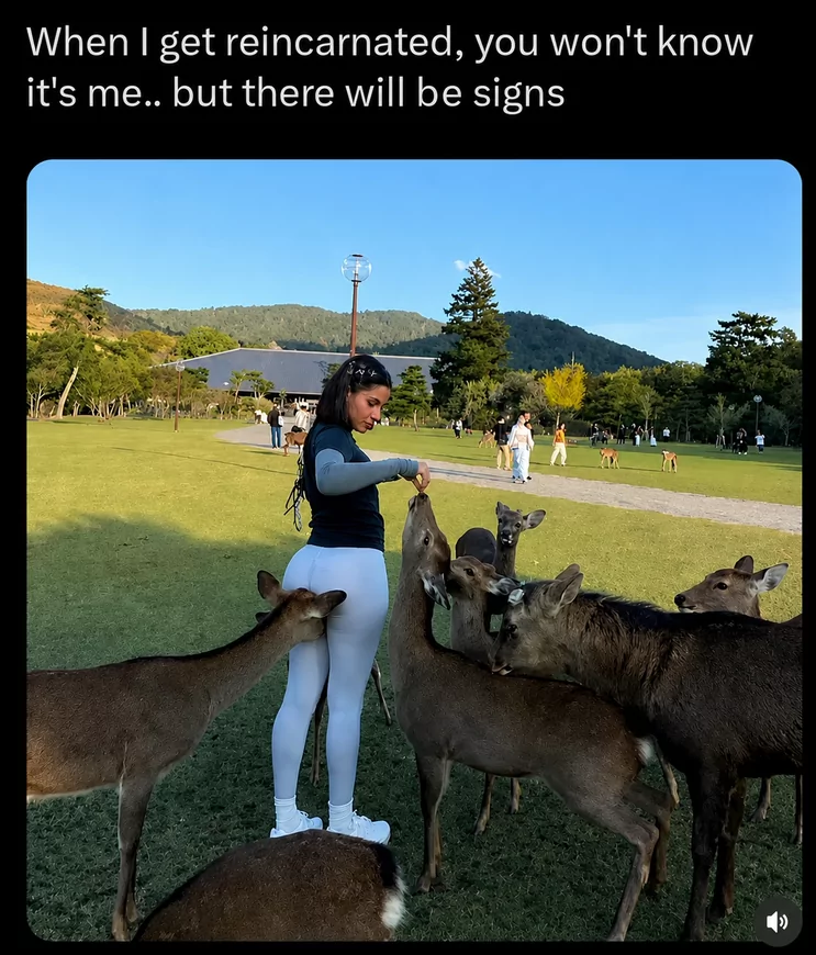 30 Deer Memes That'll Catch You Like Deer in the Headlights 30 There will be signs
