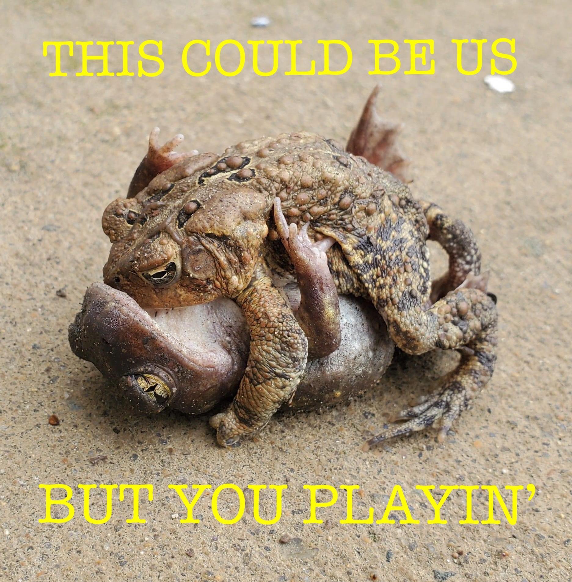 25 Memes That Are Funny, Relatable, and Slightly Naughty 24 This could be us