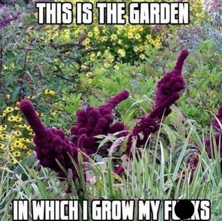 25 Inappropriate Memes Powered Entirely by Double Meanings 25 This is the garden