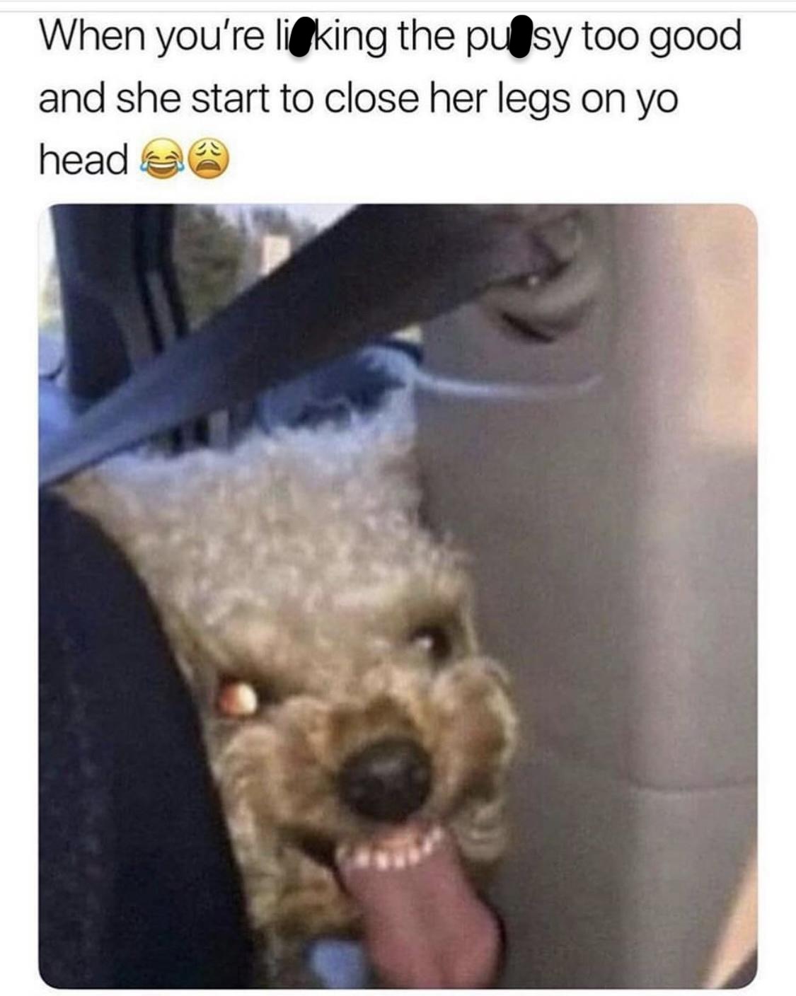 40 Steamy Memes That Are Basically Just Thirst Traps in Meme Form 41 Sip of water