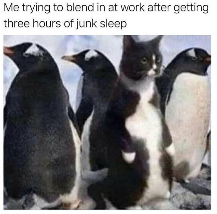 Trying to blend in at work