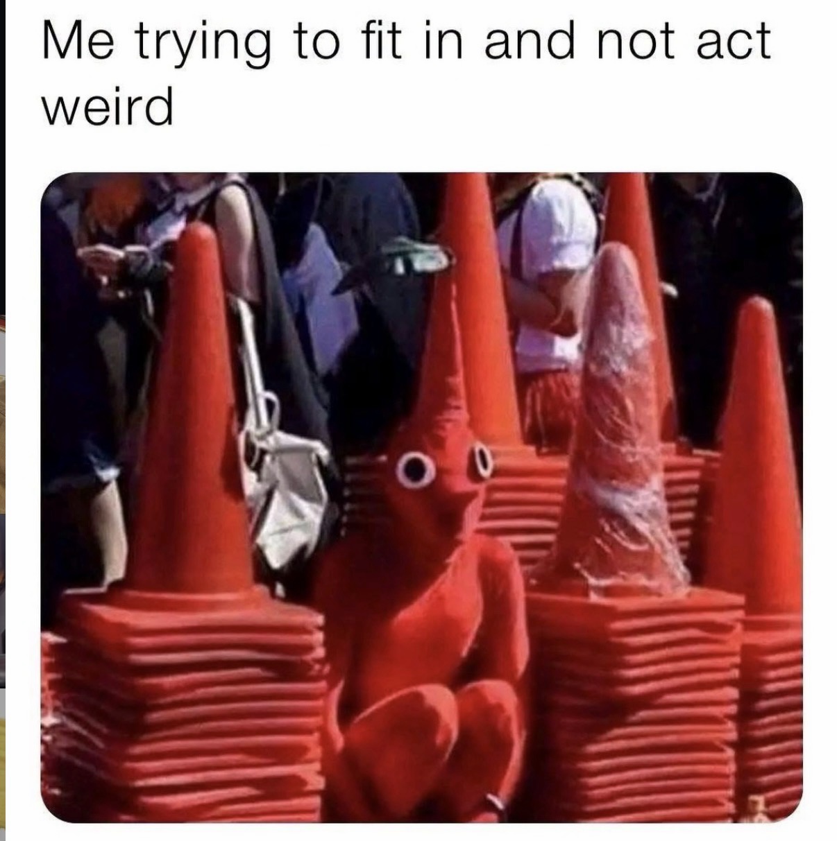 30 Memes That Went Full Nonsense and Never Looked Back 31 Trying to fit in