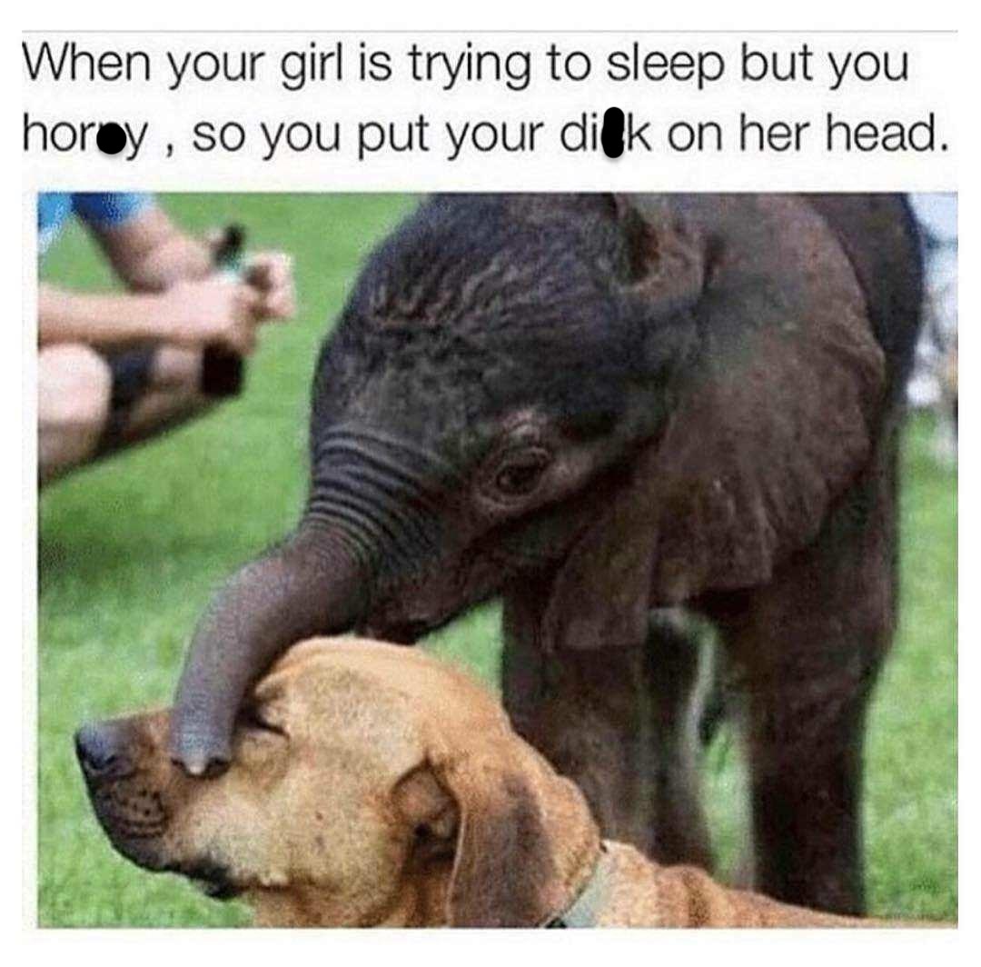40 Steamy Memes That Are Basically Just Thirst Traps in Meme Form 42 Trying to sleep