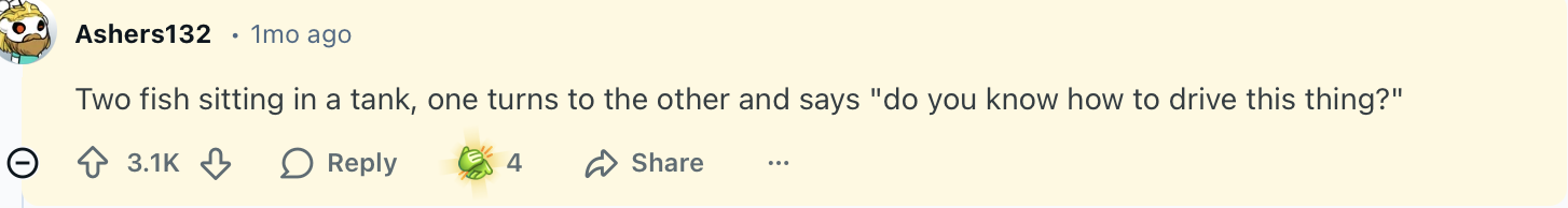 Two fish sitting in a tank