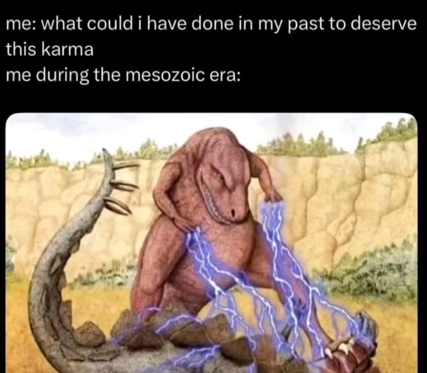 What could I have done