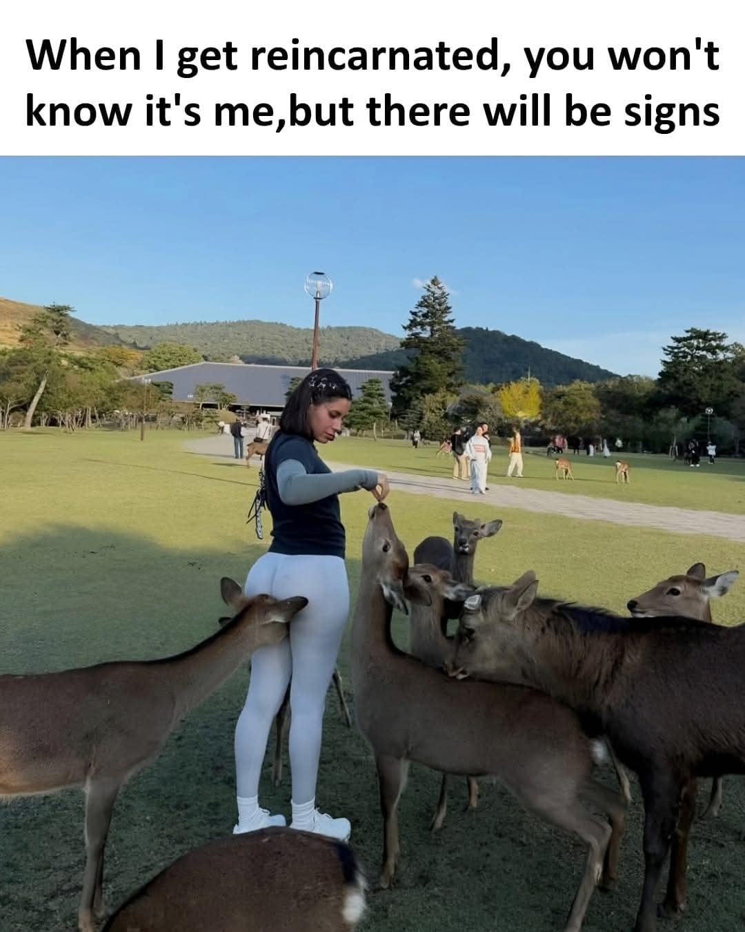 When I get reincarnated