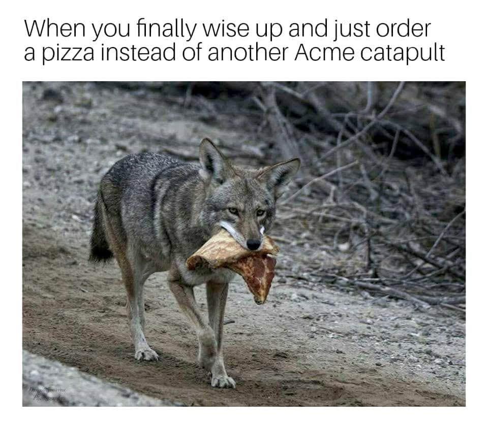 When you finally wise up