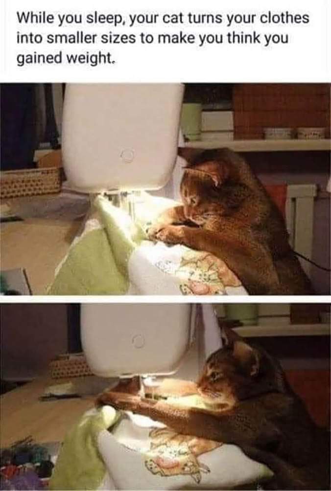 20 Memes With No Theme, Just Audacity 19 When you sleep