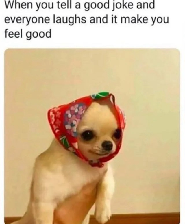 When you tell a good joke